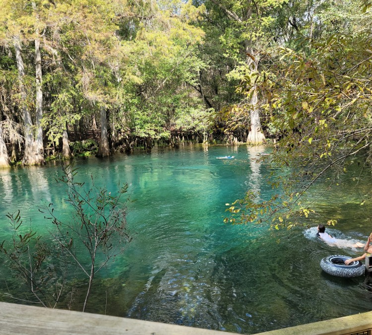 Manatee Springs State Park (Chiefland,&nbspFL)